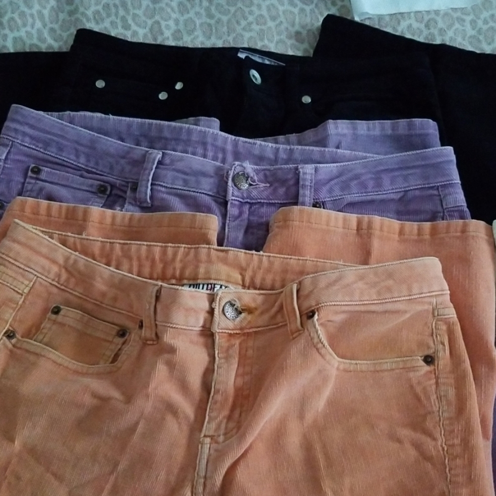 3 pros of Bill Blass Courdory pants